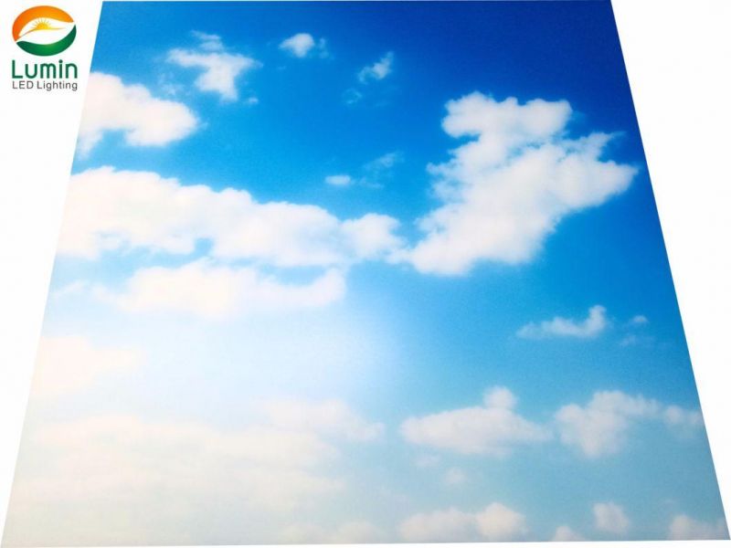 Ra>90 Bluesky/White Clouds Frameless LED Skylight Ceiling Panel for Decoration