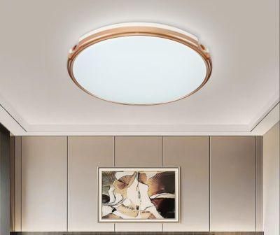 Odern Surface LED Ceiling Lamp Mounted Home Lighting Round Ceiling Light Panel Light
