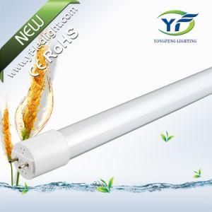 10W 800lm T8 UL 4FT T8 LED Light Tube
