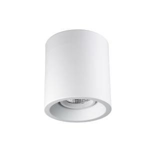 LED Surface Mounted Downlight Modern Design Surface Mounted Indoor Downlight LED Spot Light C3-1400