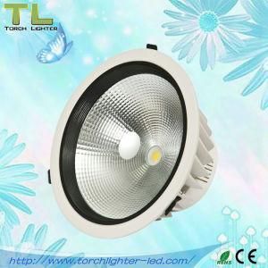 30W COB LED Downlight with CE &amp; RoHS