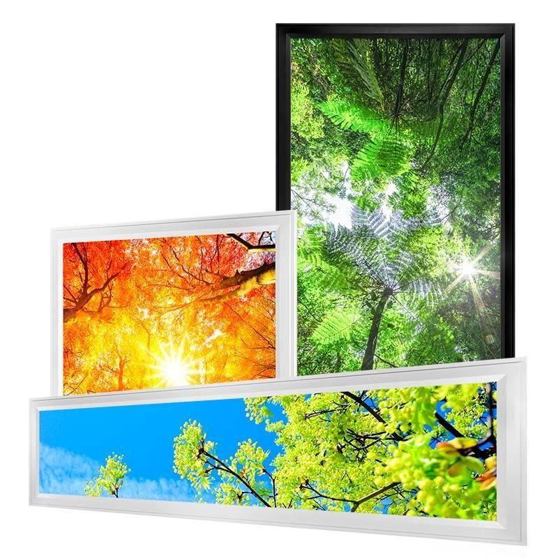 Customized Frameless Skylight LED Panel Light for Indoor Decoration