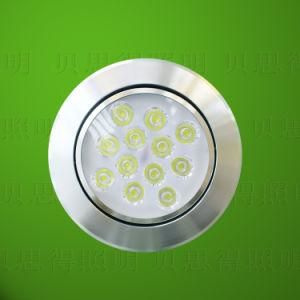 12W COB LED Down Light