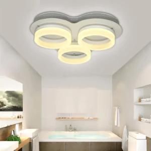 DIY Circle LED Ceiling Light for Living Room Bedsroom Indoor Lighting