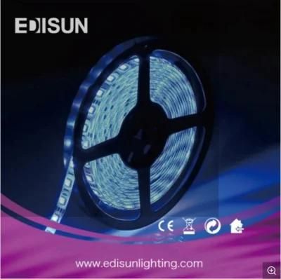 European Standard 12V LED Strip Light 5050 RGB