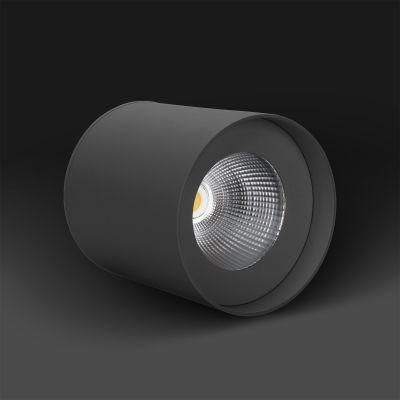 IP65 Outdoor LED Light High Waterproof Surface Mounted LED Downlight COB Light