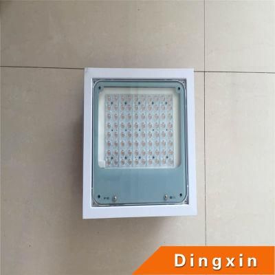 AC 220V 100W 120W LED Light Which Under a Canopy of a Refill Station with 3 Years Warranty