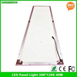 Hot Sales LED Panel Light Ce 300*1200 40W 100lm/W