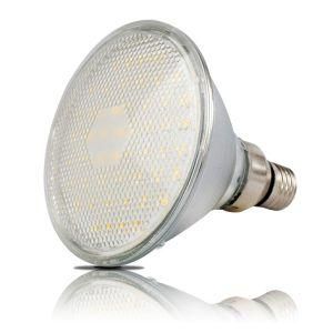 PAR38 10W LED SPOT LIGHT