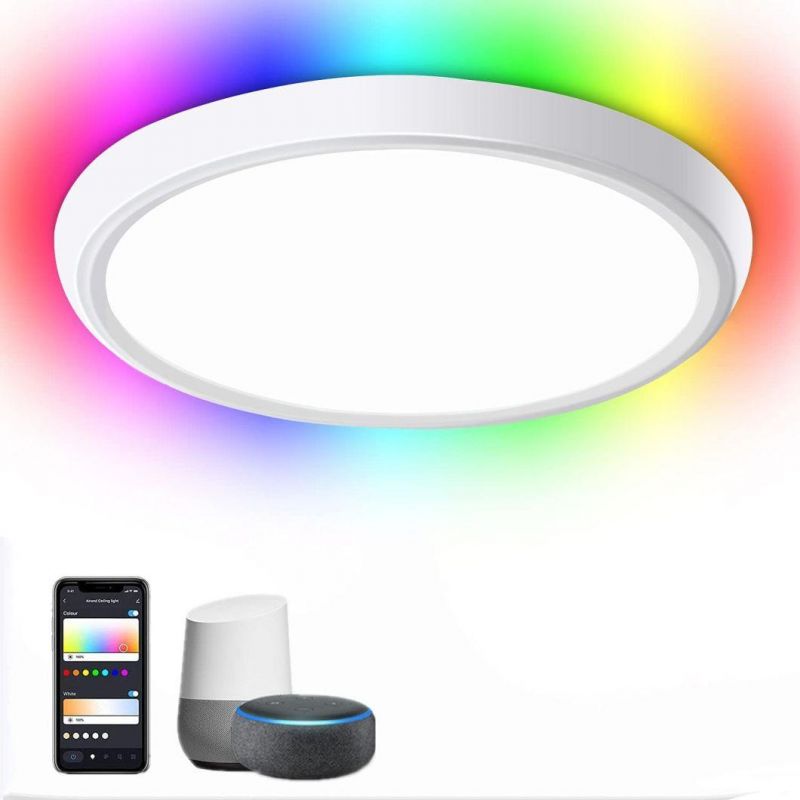 Modern Stlyle New Mounted Remote Small Colour LED Ceiling Lamp