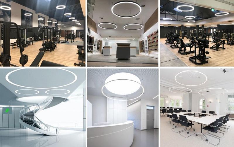 Modern Suspended Round Shape Circular LED Linear Light for Office Lighting