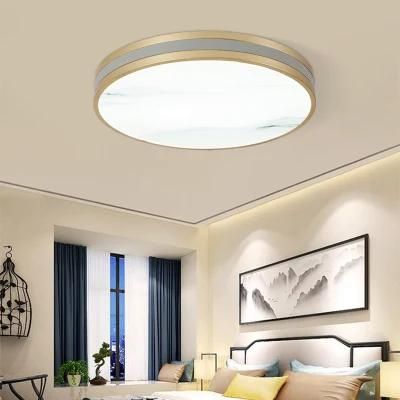 Dafangzhou 96W Light China Indoor Ceiling Lights Supply Outdoor Ceiling Light Cartoon Style Ceiling Lighting Applied in Conference Room