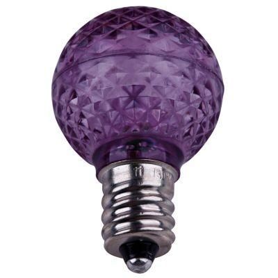 G30 Faceted LED Bulb - Purple