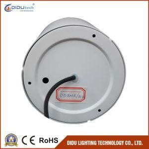 High Lumen 3 Years Warranty Downlight COB with 30W