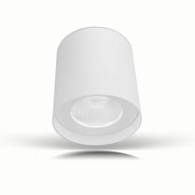 Waterproof LED Surface Mounted Downlight Ceiling Light Cylindrical Down Light