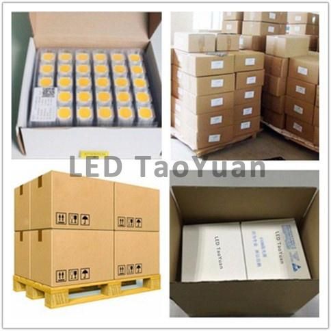 Direct Sale High Lumen 150lm/W COB LED 50W LED Chip