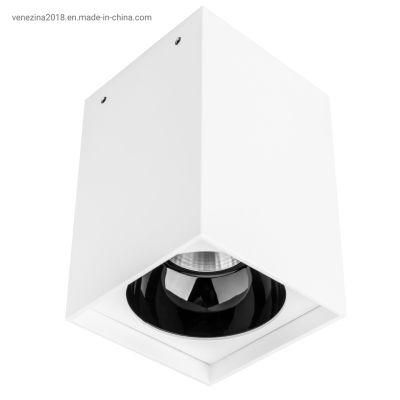 TUV Latest Style High Quality COB 6W/10W/15W LED Surface-Mounted Downlight