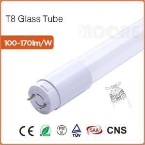 Glass LED T8 Tube