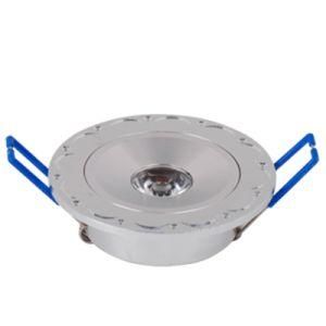 LED Ceiling Lamp 1W