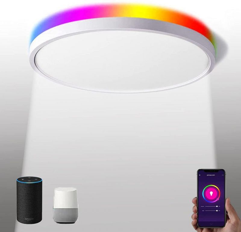 2021 RGB New Flush Fixture LED Motion Color Ceiling Lights