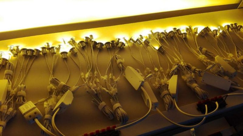 1W 12V Dimming Mini LED Bulb Downlight for Showcase jewelry Display Lighting