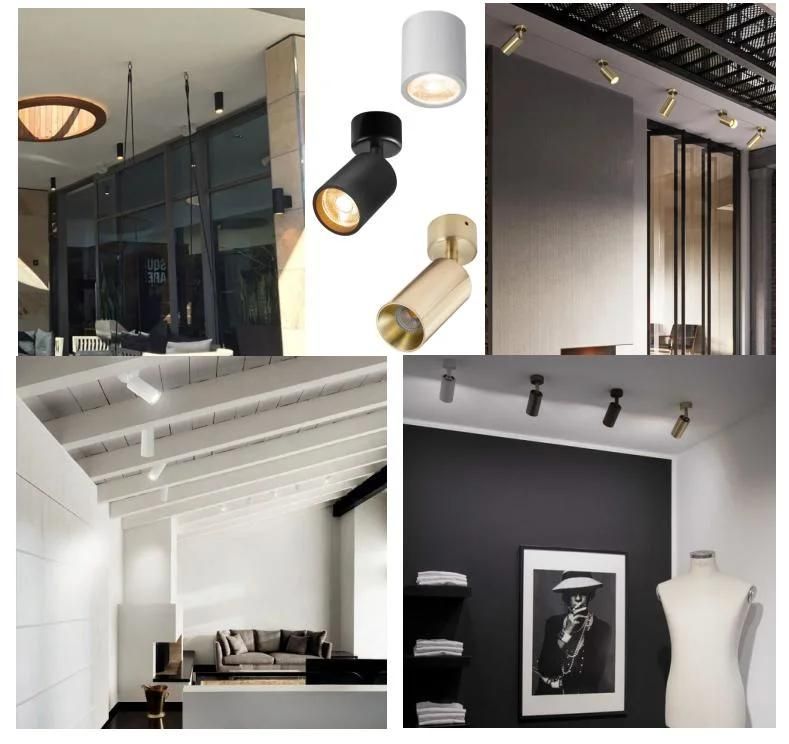 Suspended LED Spotlight High Efficiency COB Track Lighting System for Studio Lighting