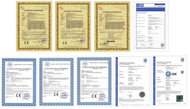 China Factory CE RoHS Certificate Indoor 8W/10W/12W E27 A60 LED Bulb Light