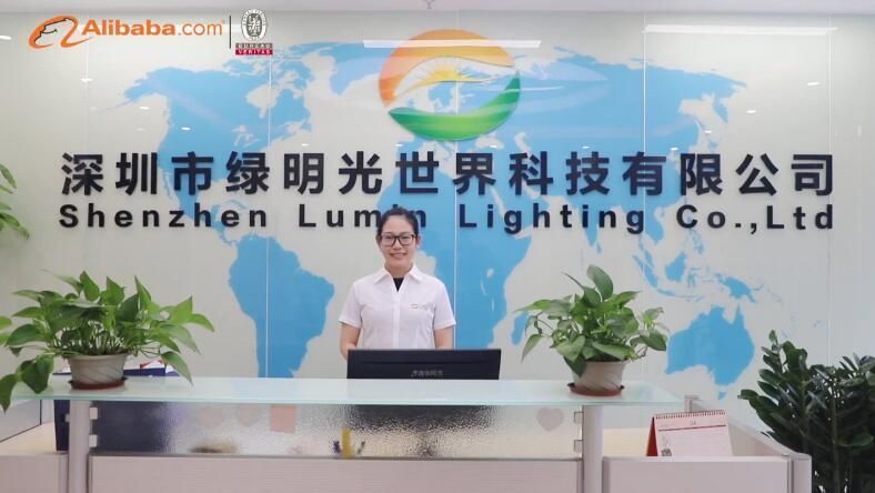 Recessed 60X60 China LED Lamp Ceiling Lighting Chandelier Lights Bulb 40W LED Panel Light