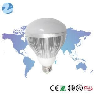 E26-12W High Brightness LED Br Lamp Br30 Bulb