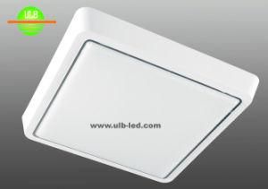 LED Outdoor Surface Mounted Ceiling Light, Panel Light (100-240V, IP44)