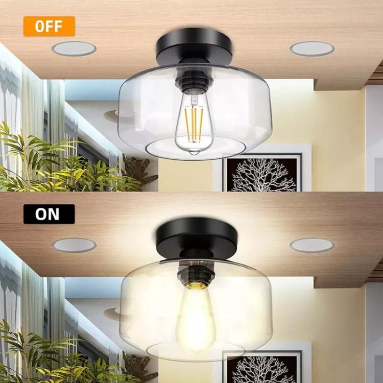 Amazon Modern Fixture Clear Glass Shade Simple Livingroom Flush Mount Ceiling Light