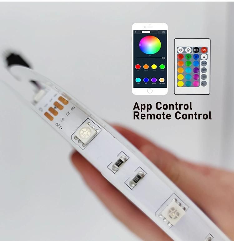 Bluetooth Connection Energy Saving Flexible LED Strip with Latest Technology