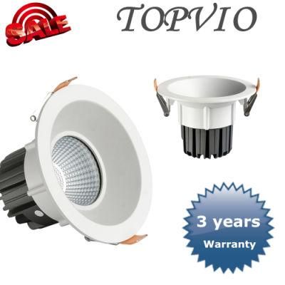 10W/15W/20W/30W/40W Popular CREE Recessed COB LED Downlight LED Ceiling Light