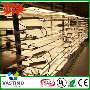 Austrilia Standard SAA Certification 600*600 LED Panel Light