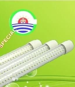 Transparent / Frosted 20W T8 LED Tube Light (T8-120CM-288CW)