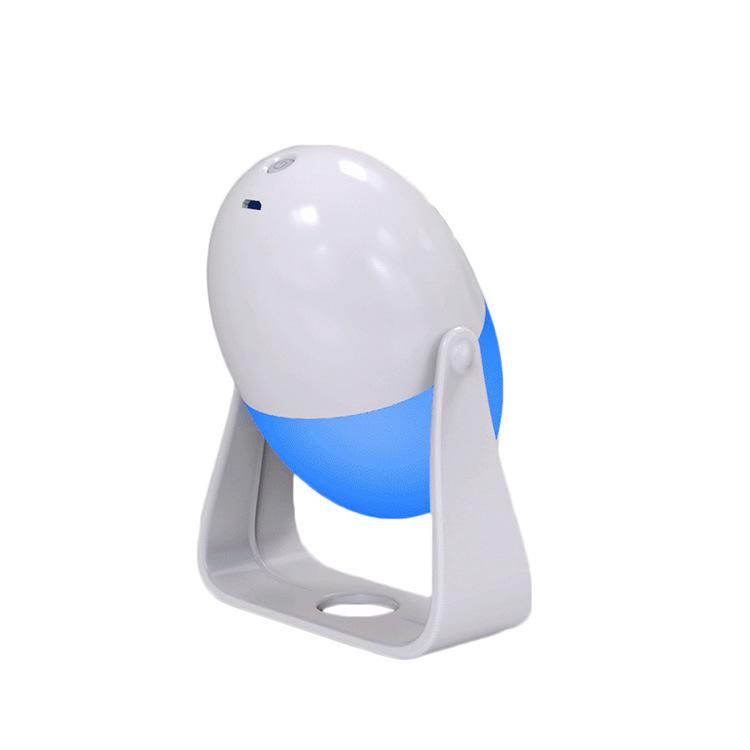 Cute Promotional Night Lamp LED Light with Egg Shape