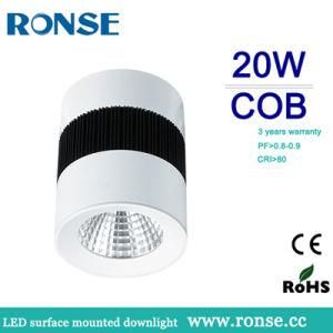 20W LED COB Surface Mounted Downlight (RS-2610)