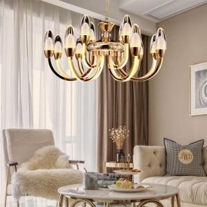 Modern Designer LED Home Decorative Pendant Chandelier