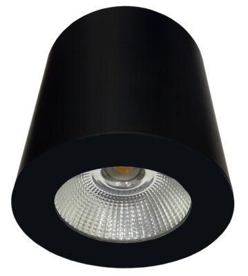 Surface Mounting COB 10W Indoor LED Down Lighting