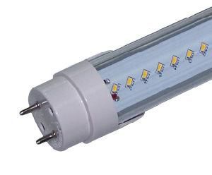 LEDs T8 LED Tube with TUV Mark